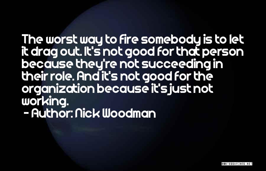 Good Succeeding Quotes By Nick Woodman