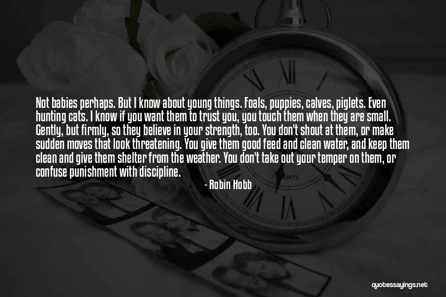 Good Temper Quotes By Robin Hobb Good Temper Quotes By Robin Hobb