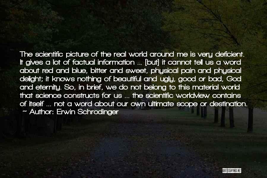 Good The Bad The Ugly Quotes By Erwin Schrodinger