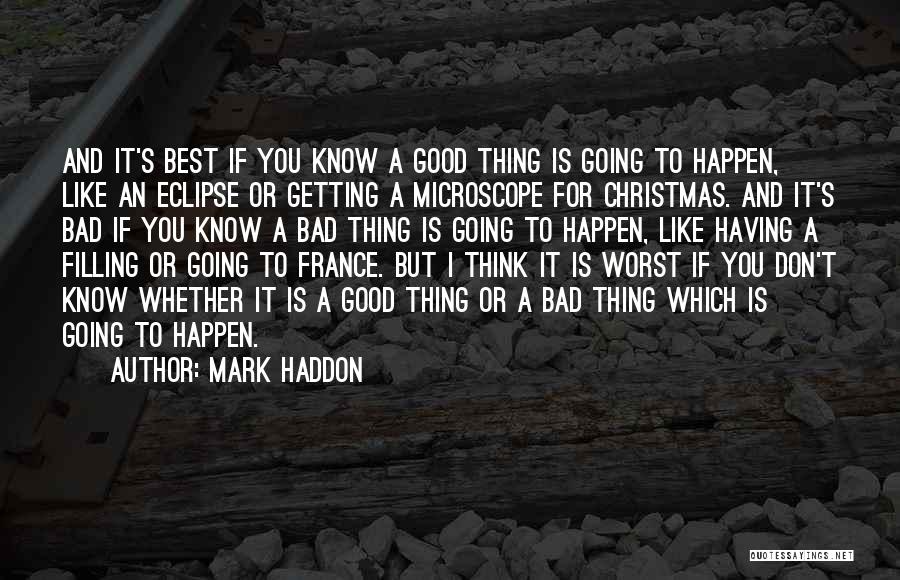 Good Thing Going Quotes By Mark Haddon