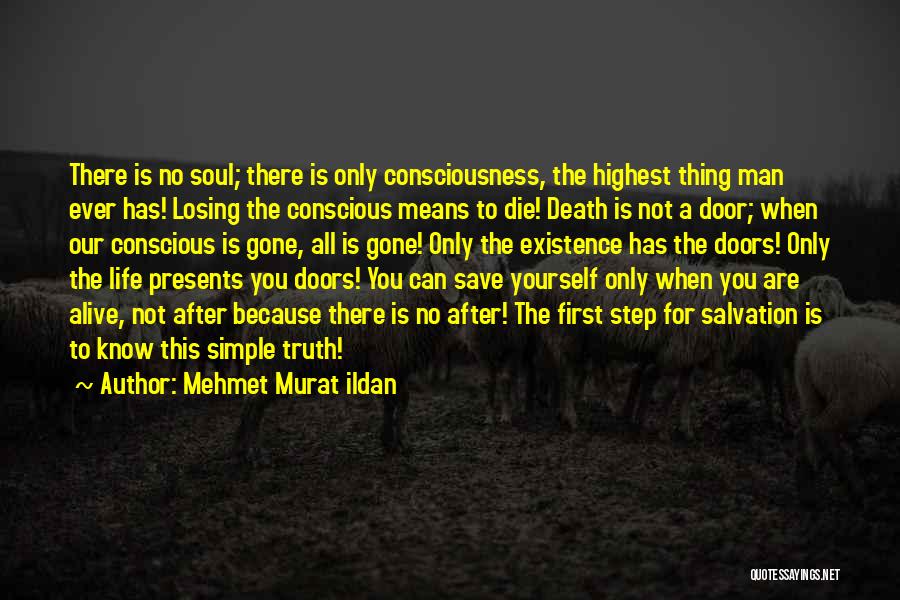 Good Thing Gone Quotes By Mehmet Murat Ildan