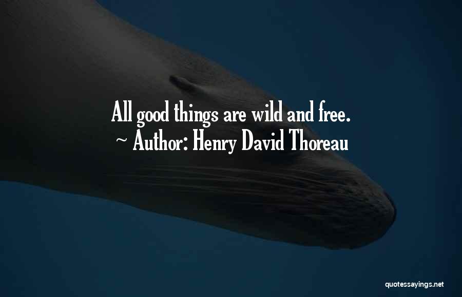 Good Things Are Free Quotes By Henry David Thoreau