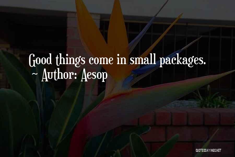 Good Things Come In Small Packages Quotes By Aesop