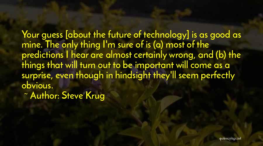 Good Things Will Come Quotes By Steve Krug