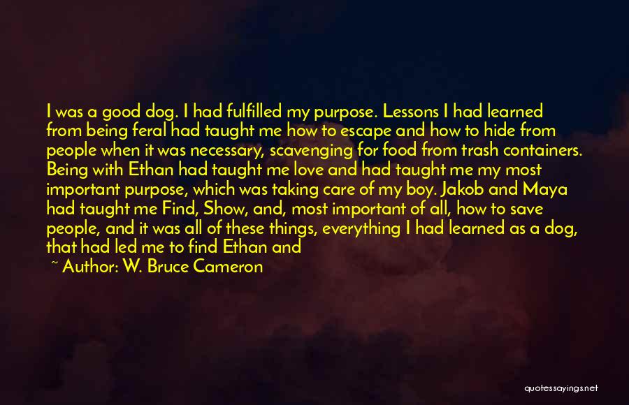 Good Times With Love Quotes By W. Bruce Cameron Good Times With Love Quotes By W. Bruce Cameron