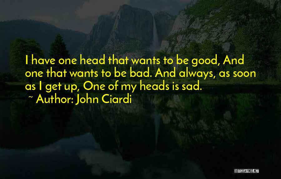 Good To Bad Quotes By John Ciardi