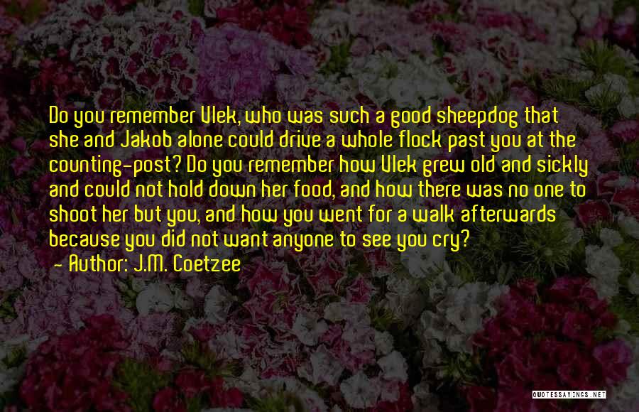 Good To Remember Quotes By J.M. Coetzee