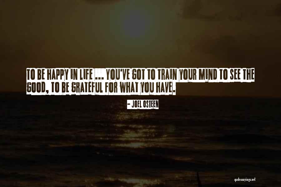 Good To See You Happy Quotes By Joel Osteen