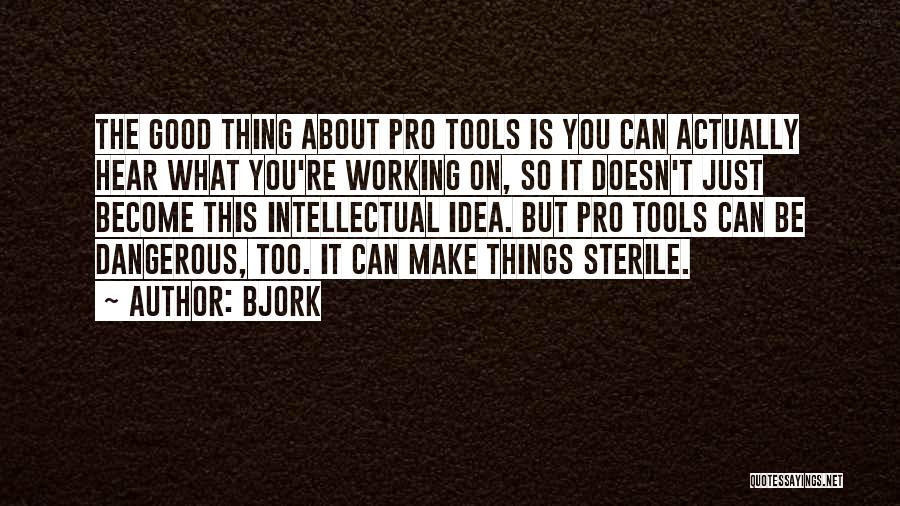 Good Tools Quotes By Bjork