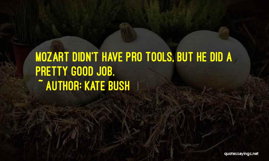Good Tools Quotes By Kate Bush