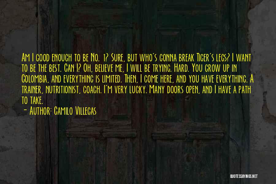 Good Trainer Quotes By Camilo Villegas