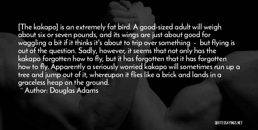 Good Trip Quotes By Douglas Adams