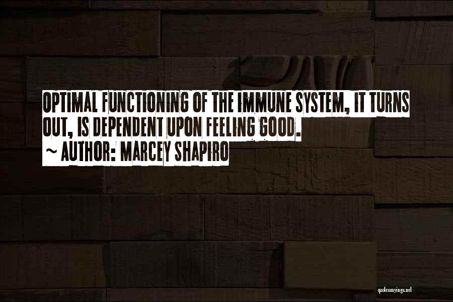 Good Turns Quotes By Marcey Shapiro