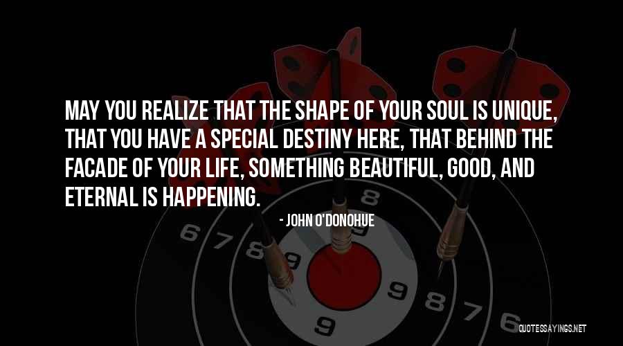 Good Unique Quotes By John O'Donohue