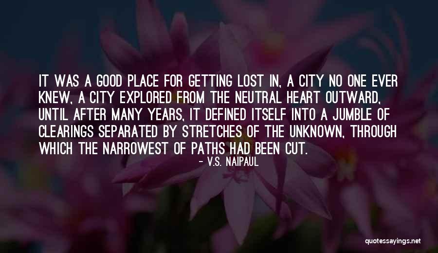 Good Unknown Quotes By V.S. Naipaul Good Unknown Quotes By V.S. Naipaul