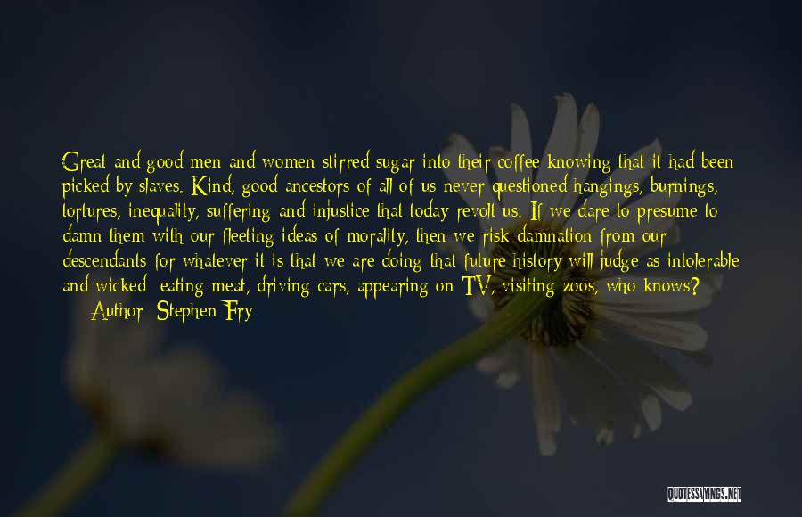 Good Visiting Quotes By Stephen Fry