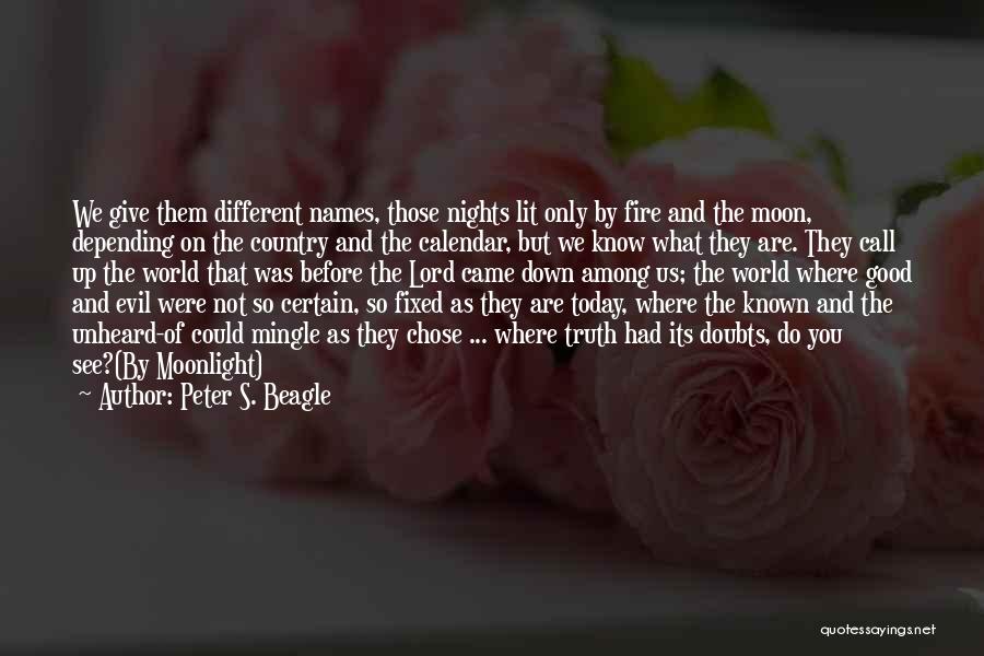 Good Vs Evil Quotes By Peter S. Beagle