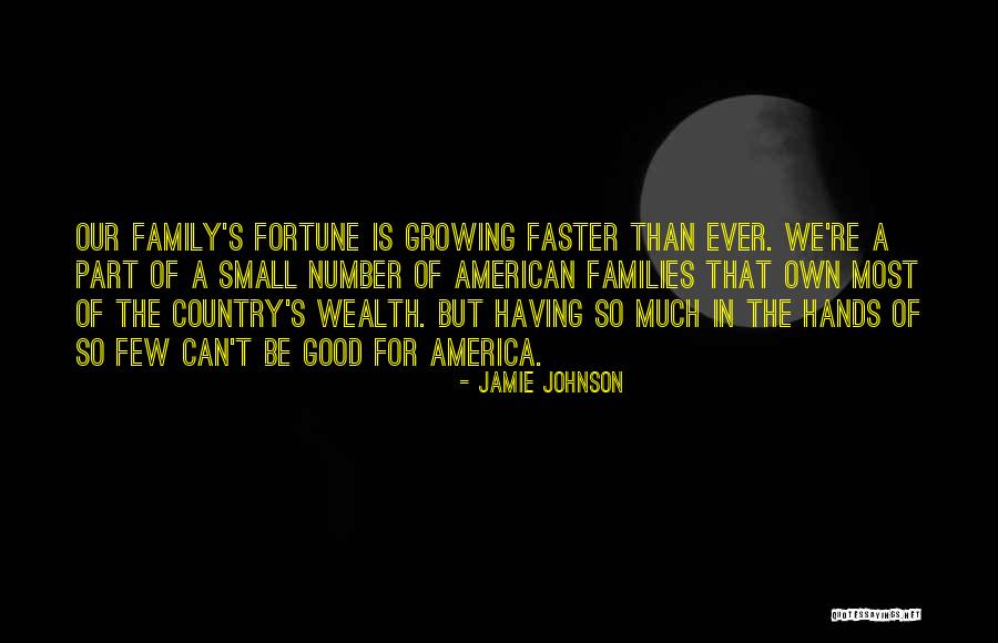 Good Wealth Quotes By Jamie Johnson Good Wealth Quotes By Jamie Johnson