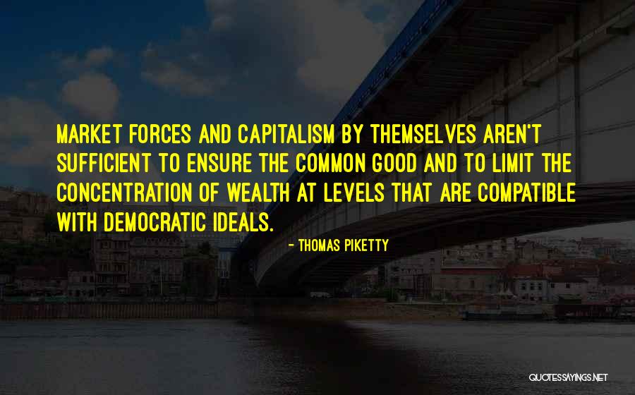 Good Wealth Quotes By Thomas Piketty Good Wealth Quotes By Thomas Piketty