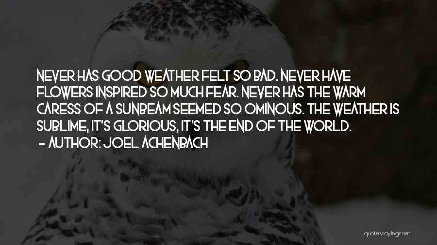 Good Weather Quotes By Joel Achenbach