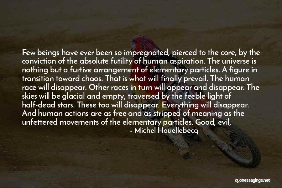 Good Will Prevail Quotes By Michel Houellebecq Good Will Prevail Quotes By Michel Houellebecq
