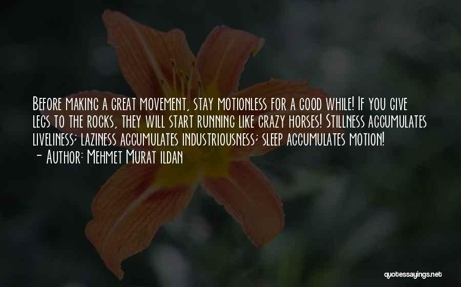 Good Will Quotes By Mehmet Murat Ildan