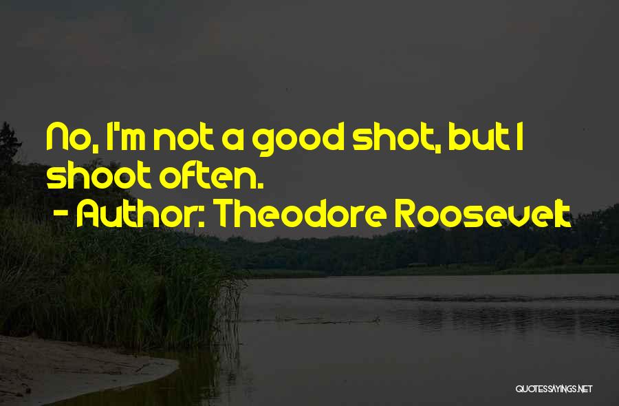 Good Willing Hunting Quotes By Theodore Roosevelt