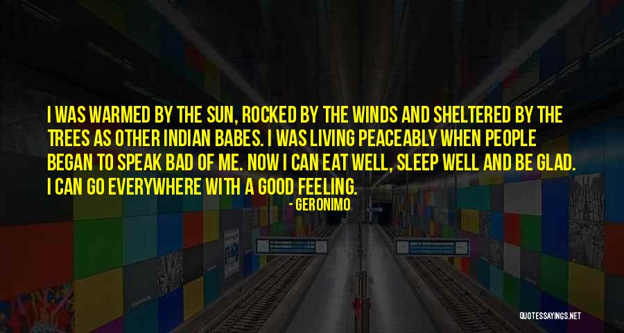 Good Winds Quotes By Geronimo