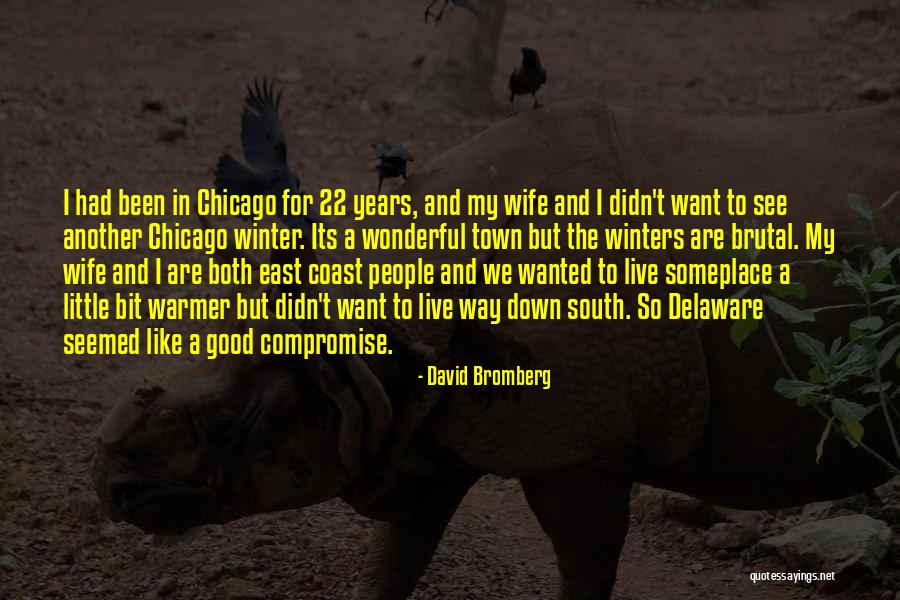 Good Winter Quotes By David Bromberg