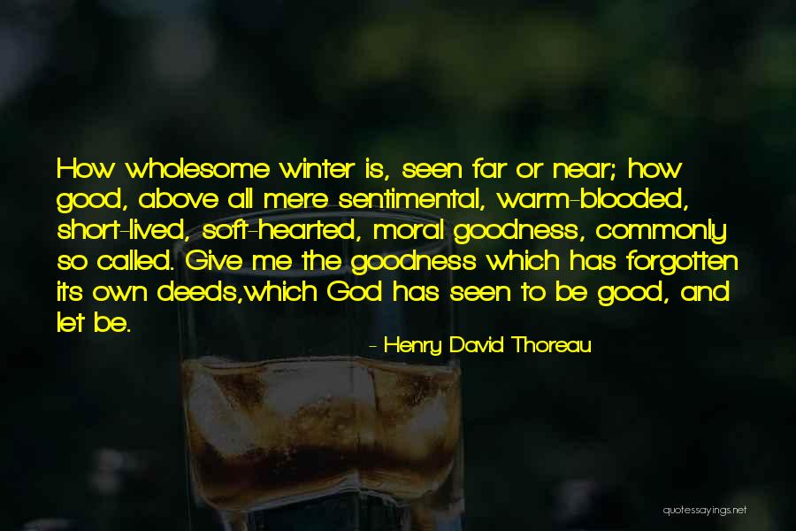 Good Winter Quotes By Henry David Thoreau