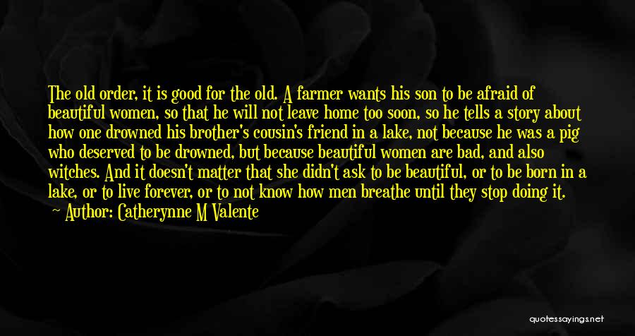 Good Witches Quotes By Catherynne M Valente