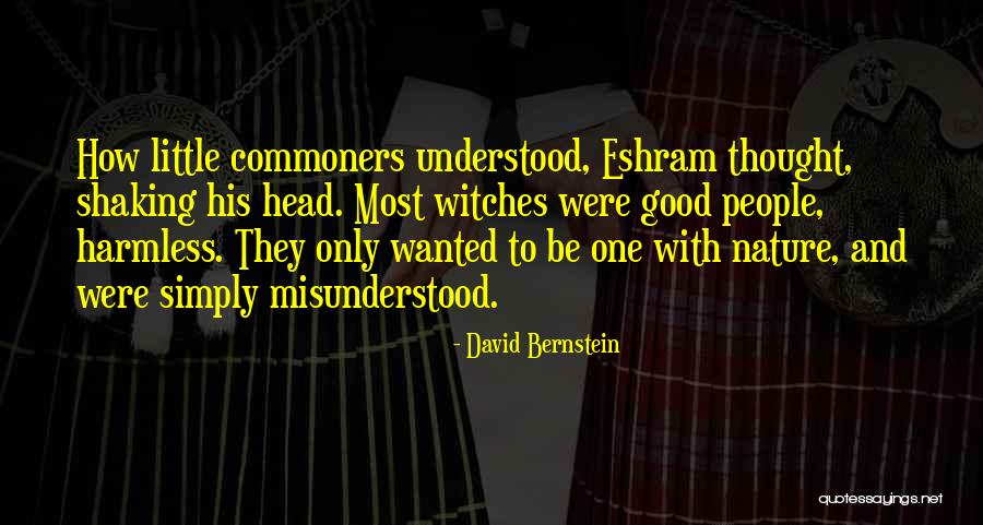 Good Witches Quotes By David Bernstein