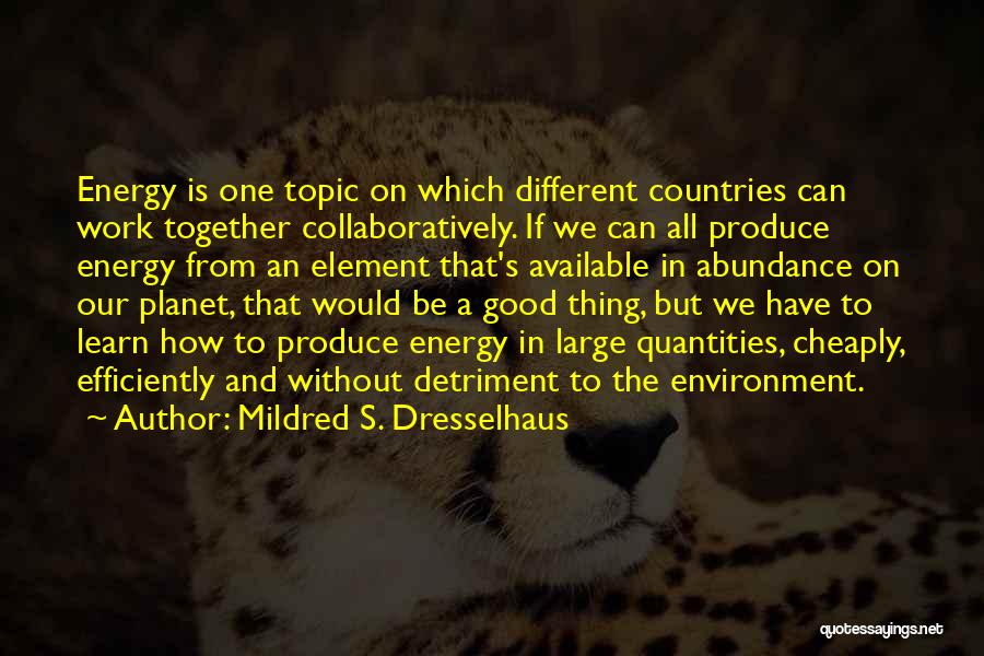 Good Work Environment Quotes By Mildred S. Dresselhaus