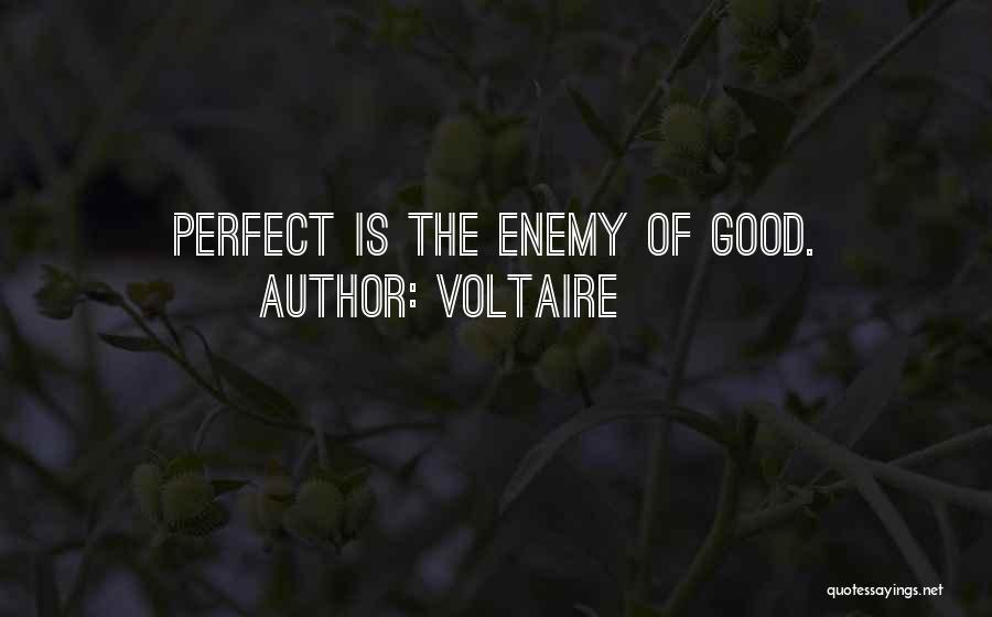Good Work Ethic Quotes By Voltaire