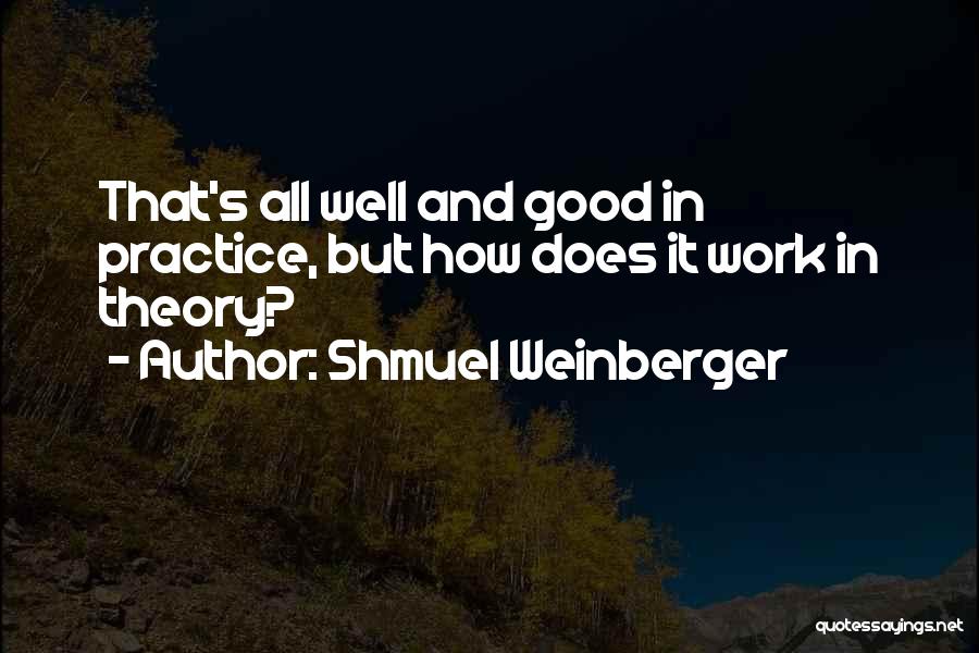 Good Work Practice Quotes By Shmuel Weinberger