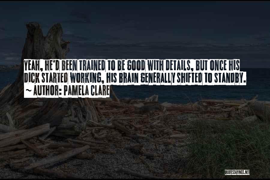 Good Working Quotes By Pamela Clare