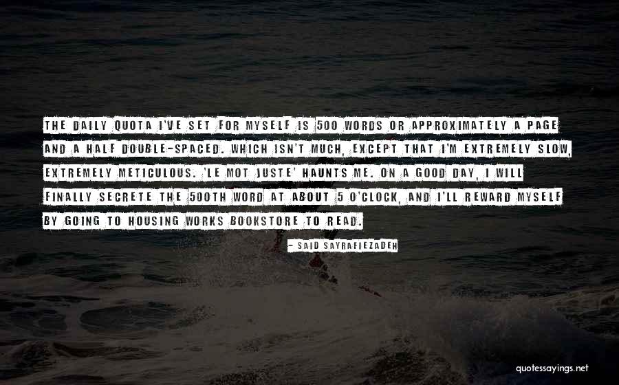 Good Works Quotes By Said Sayrafiezadeh