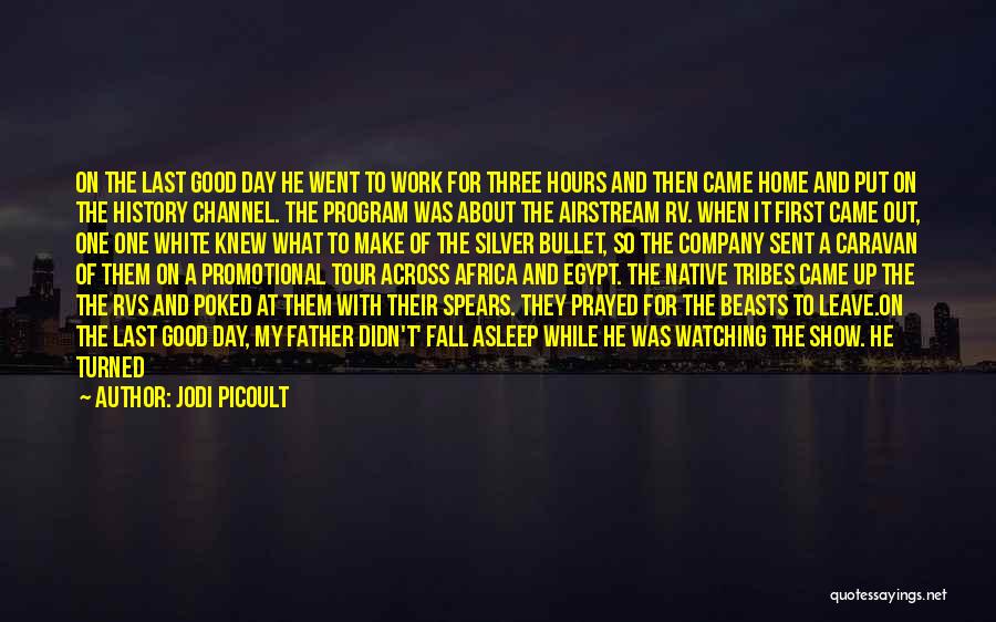 Good World History Quotes By Jodi Picoult