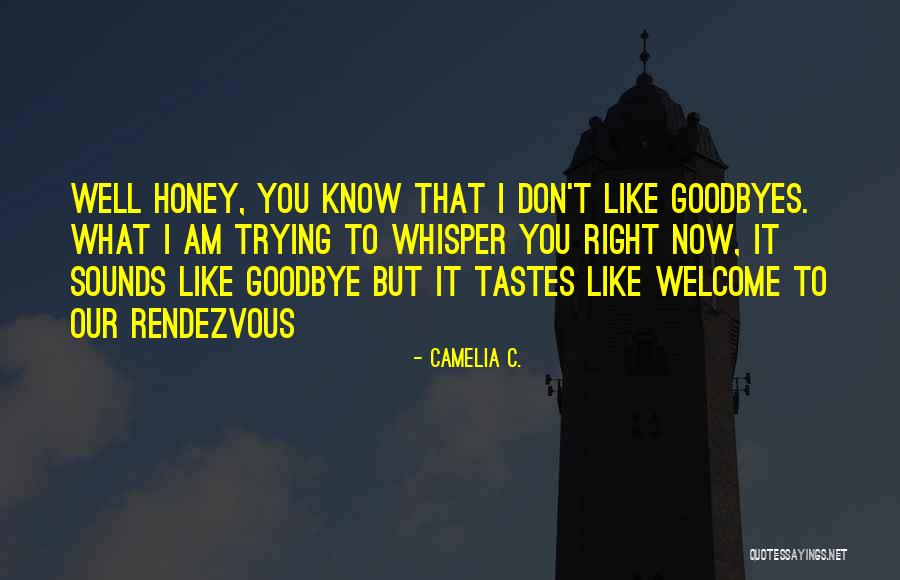 Goodbye But Not Farewell Quotes By Camelia C.