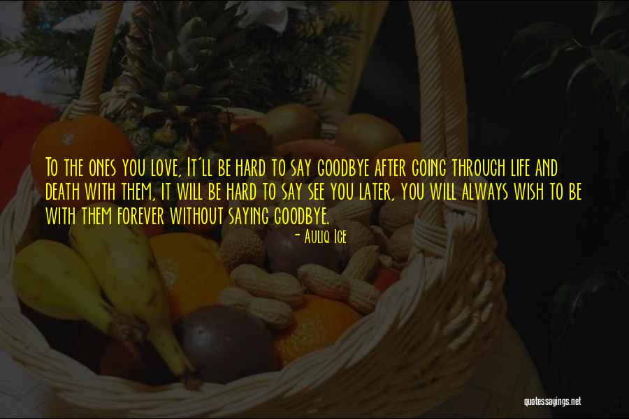 Goodbye But Not Forever Quotes By Auliq Ice Goodbye But Not Forever Quotes By Auliq Ice