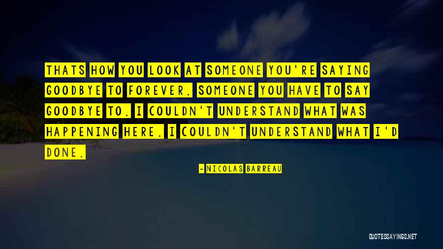 Goodbye But Not Forever Quotes By Nicolas Barreau Goodbye But Not Forever Quotes By Nicolas Barreau