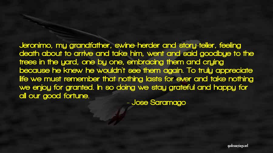 Goodbye For Good Quotes By Jose Saramago