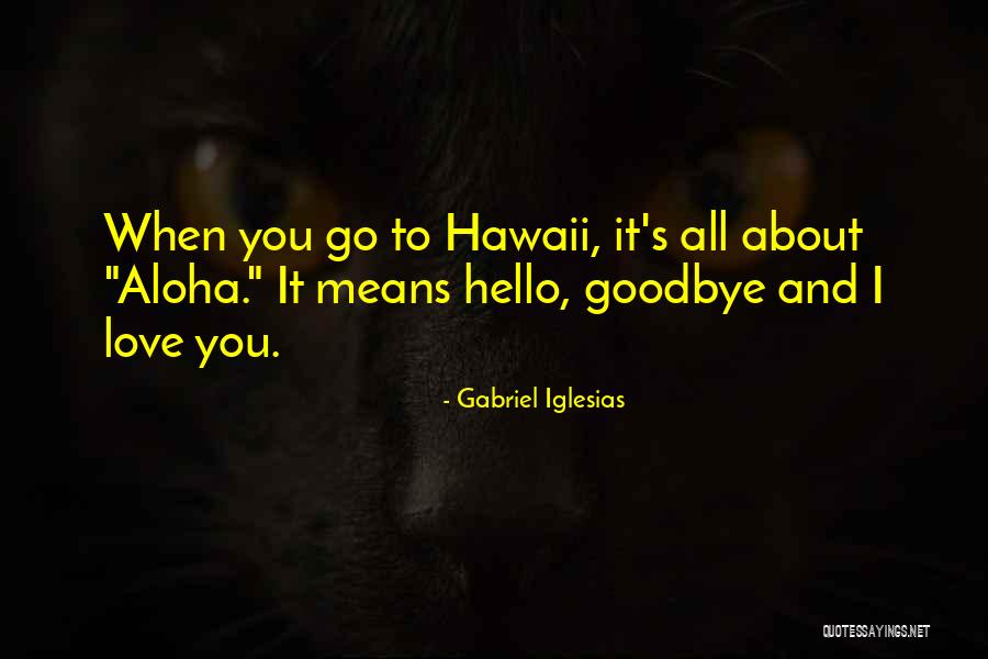 Goodbye I Love You Quotes By Gabriel Iglesias Goodbye I Love You Quotes By Gabriel Iglesias