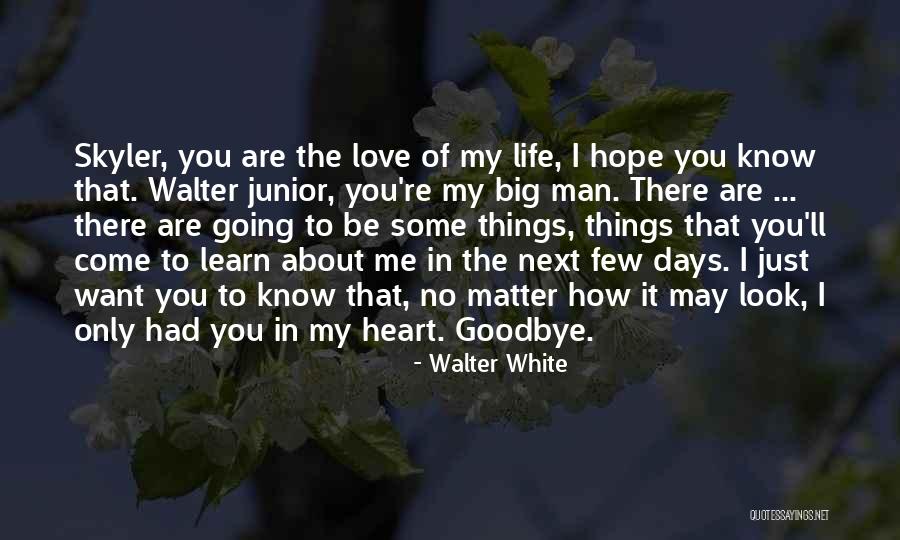 Goodbye I Love You Quotes By Walter White Goodbye I Love You Quotes By Walter White