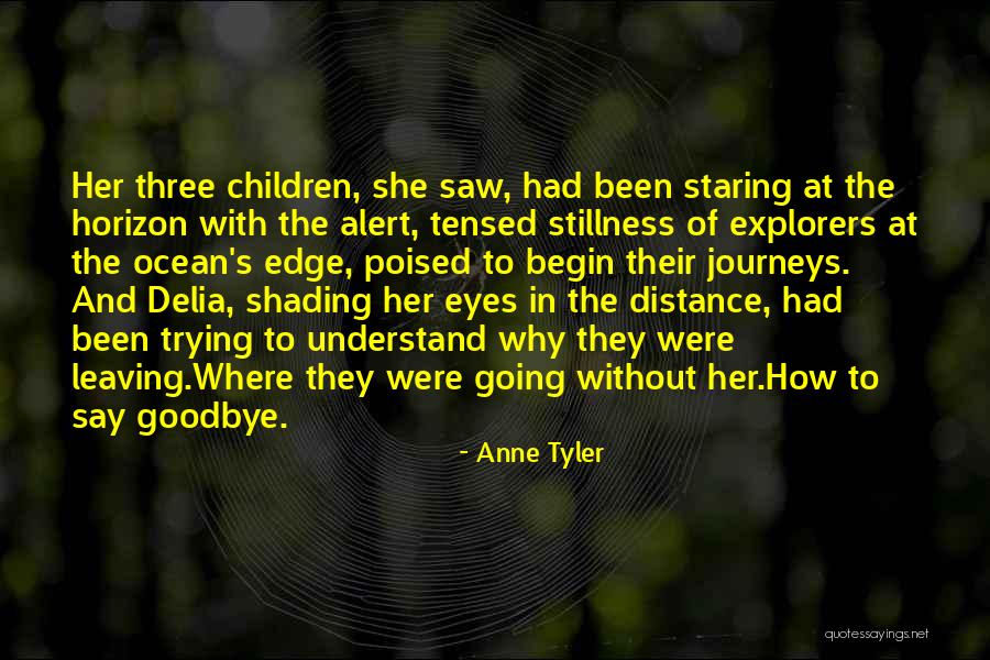 Goodbye In Her Eyes Quotes By Anne Tyler