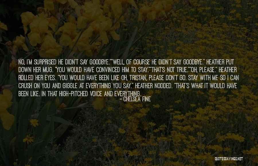 Goodbye In Her Eyes Quotes By Chelsea Fine