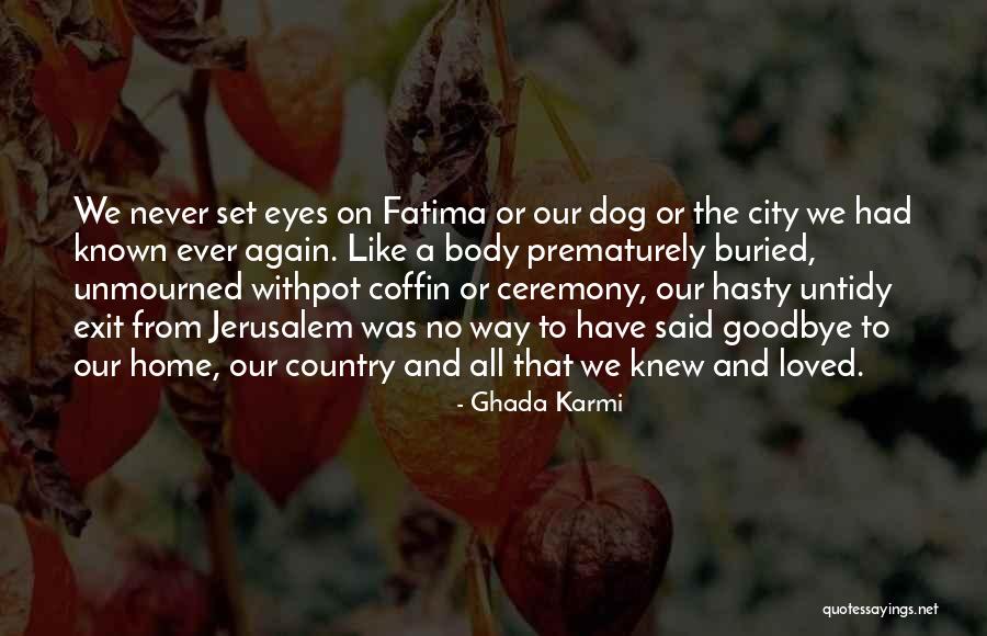 Goodbye In Her Eyes Quotes By Ghada Karmi