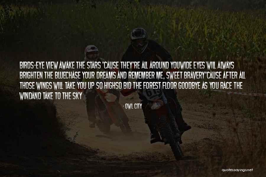 Goodbye In Her Eyes Quotes By Owl City Goodbye In Her Eyes Quotes By Owl City