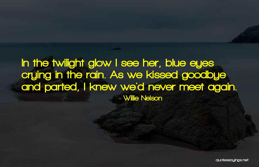 Goodbye In Her Eyes Quotes By Willie Nelson