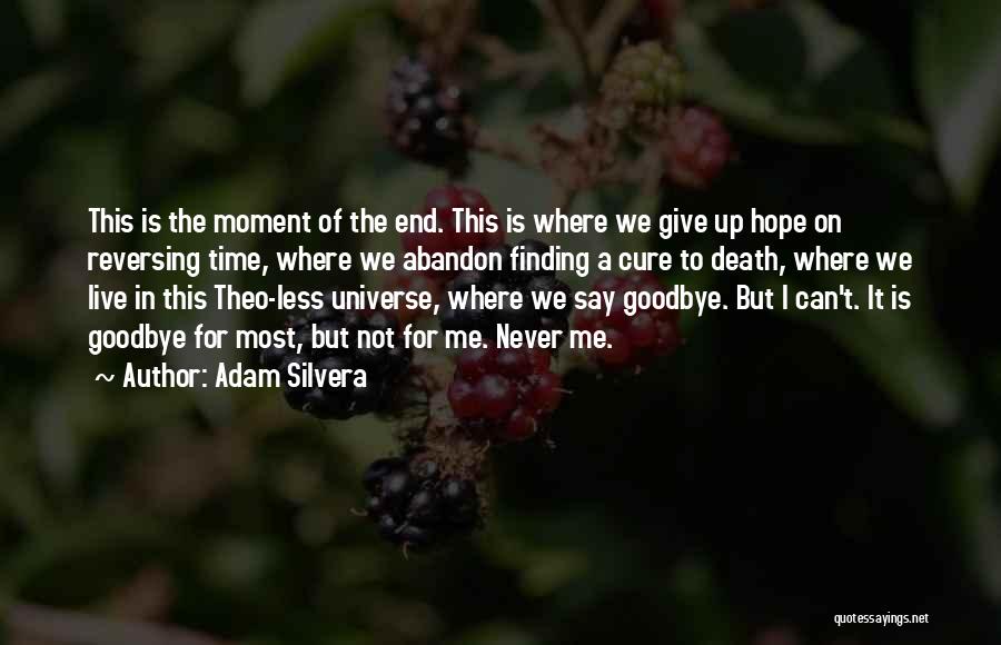 Goodbye Is Not The End Quotes By Adam Silvera
